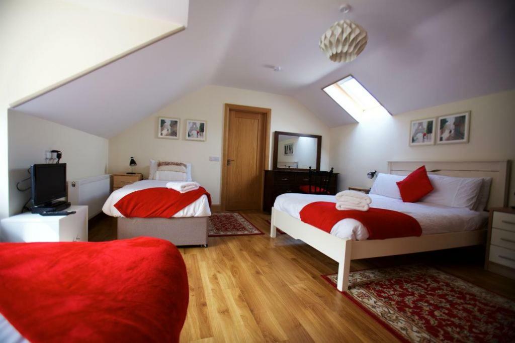 Woodview House Bed And Breakfast Cork Exteriér fotografie